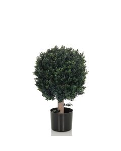 BUXUS - Artificial plant