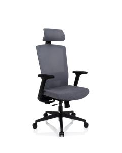 CAPTIVO - Professional Office Chair 