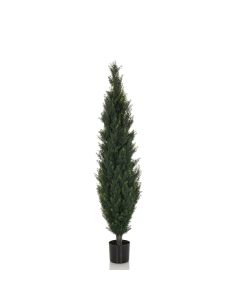 CEDRUS - Artificial plant