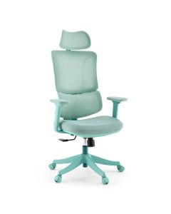 Ergomy Colore | Fabric / 3D Mesh | Frame: Colourful - Home Office Chair 