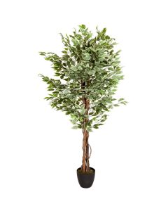 FICUS - Artificial plant