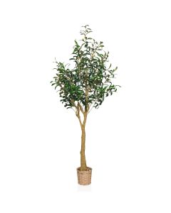 OLIVE II - Artificial plant