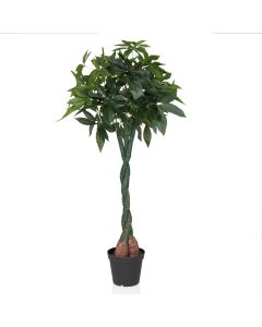 PACHIRA - Artificial plant