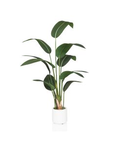 STRELITZIA - Artificial plant