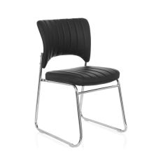 CASPI V - Guest Chair Conference Chair 