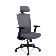 CAPTIVO - Professional Office Chair Grey